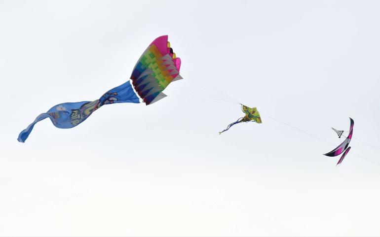 Kites soar against a clear sky, capturing a joyful outdoor scene.