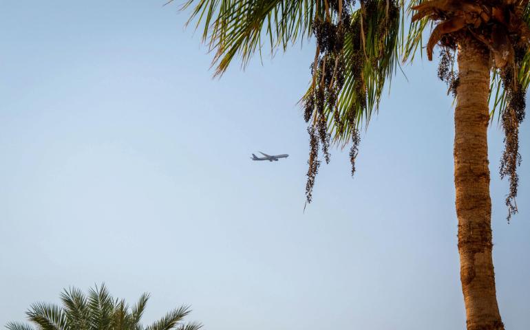 Airplane soaring in a clear sky over palm trees, capturing a serene tropical travel vibe.
