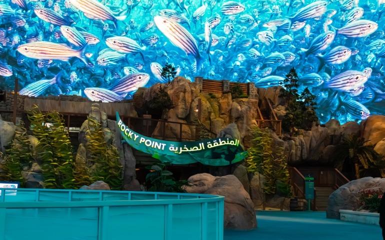 SeaWorld Abu Dhabi