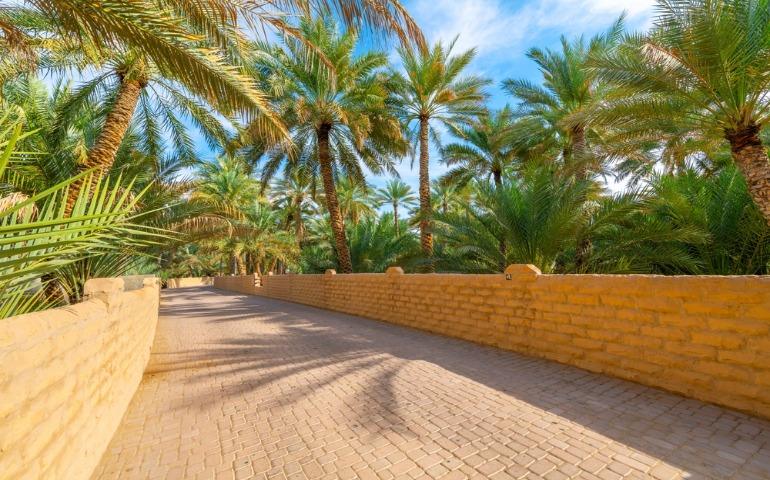 A scenic path from the historic Al Ain Oasis, a UNESCO Cultural site in Al Ain, UAE