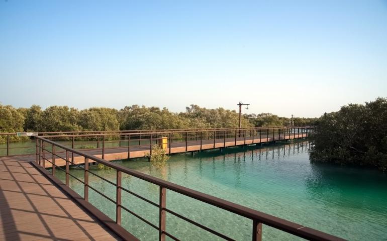 Jubail Mangrove Park in Abu Dhabi