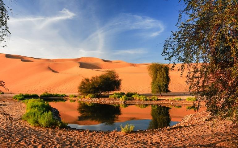 An oasis in the Liwa desert in Abu Dhabi