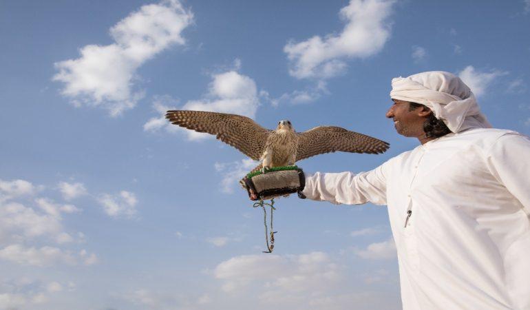 Unique Experiences In Abu Dhabi Beyond Luxury Every Traveller Should Try
