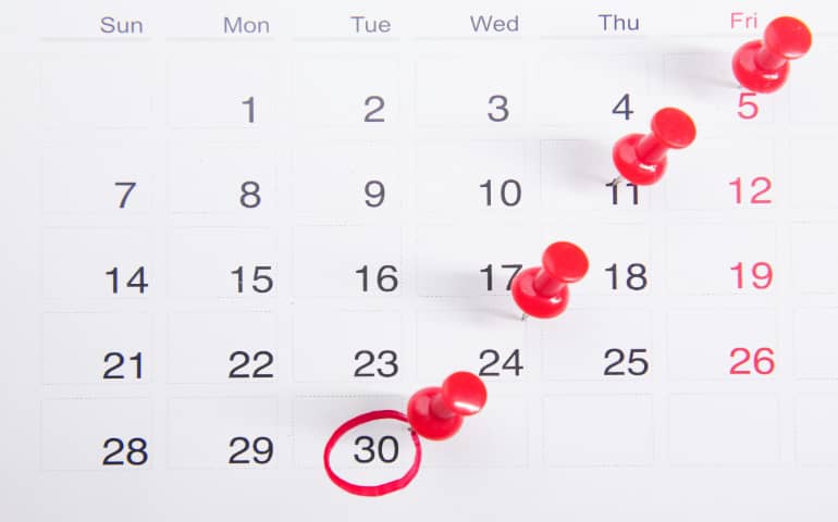 A calendar with red push buttons pinned