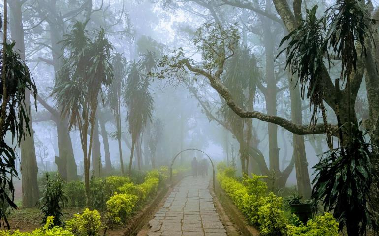 Walkway at Nandi Hills