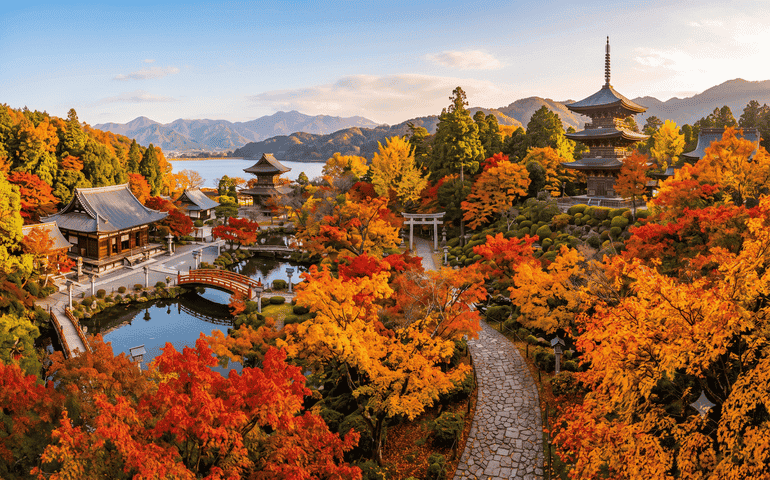 The best time to see autumn leaves in Japan