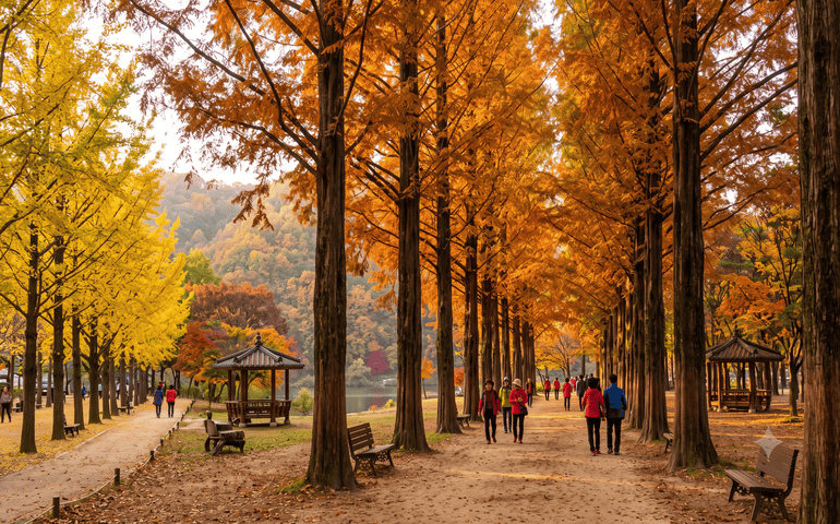 Beautiful tress in the Nami Island surrounding

