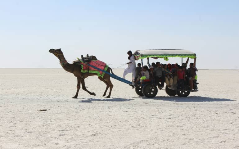 People enjoying a camel ride in the desert
