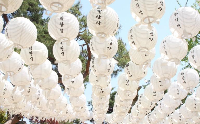Vibrant paper lanterns hanging outdoors in a Korean temple.