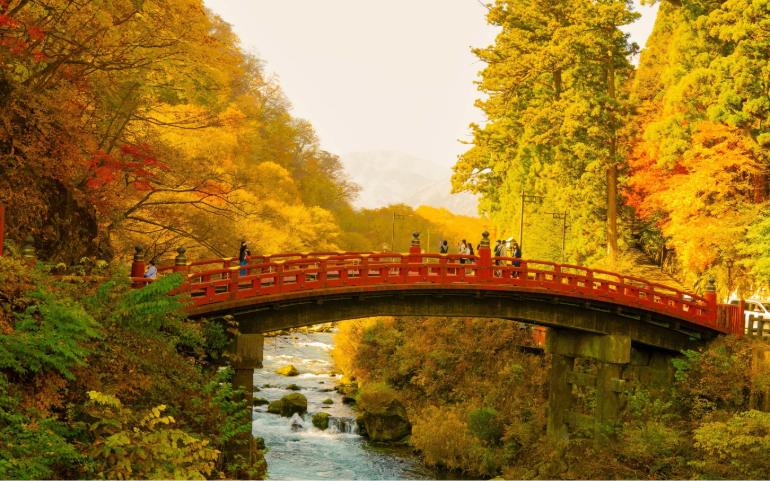 Beautiful autumn view of Shinkyo Bridge over a river in Nikko, Japan.
Image Credit: Maheshwaran Shanmugam/Pexels