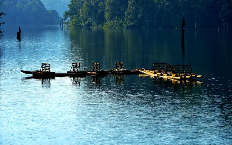 Tranquil scene of wooden rafts reflecting on serene waters surrounded by lush greenery in Periyar, India.
Image Credit - b s/Pexels