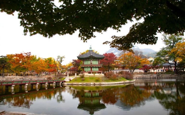 Autumn colors in Gyeongbokgung Palace, Seoul, South Korea
Image Credit: 대정 김/Pexels