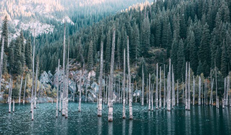 Beautiful view of Lake Kaindy in Kazakhstan
Image Credit: Disney Magat/Pexels