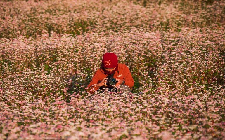 Photographer amidst a blooming field capturing nature's beauty with a camera.