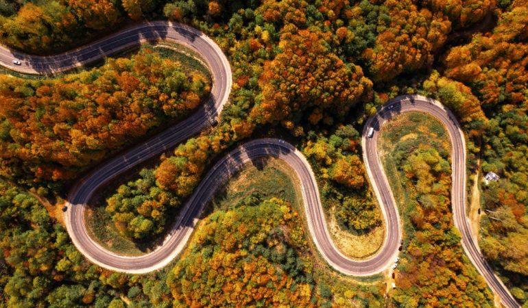 Serpentine road winding through colorful autumn foliage in a forest
Image Credit: Emre Mavi/Pexels