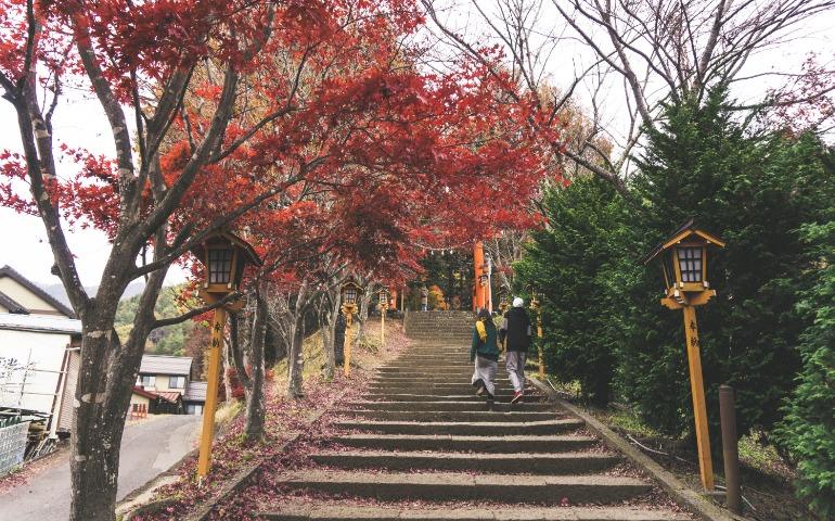 Autumn scene with people walking under vibrant red trees on steps in Japan.
Image Credit: Firman Surya/Pexels