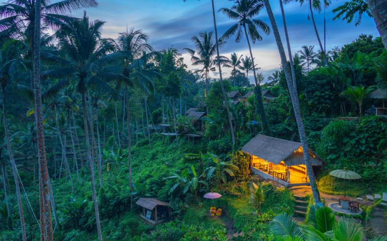A tropical hut illuminated at twilight in a lush Balinese forest setting, surrounded by tall palm trees.
Image Credit: Sergey Guk/Pexels