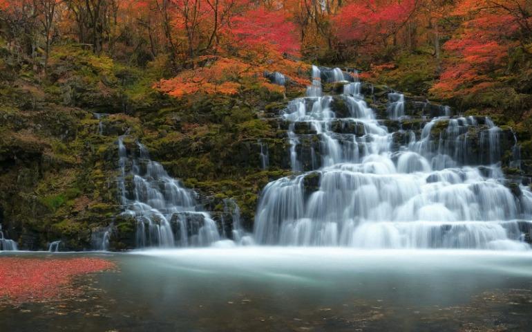 Beautiful waterfall cascading through autumn foliage in a tranquil forest setting
Image Credit: Johannes Plenio/Pexels