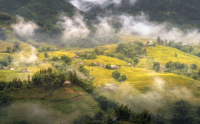 View of terraced rice fields in Sa Pa, Lào Cai, Vietnam during harvest season.
Image Credit: Linh Tran/Pexels 