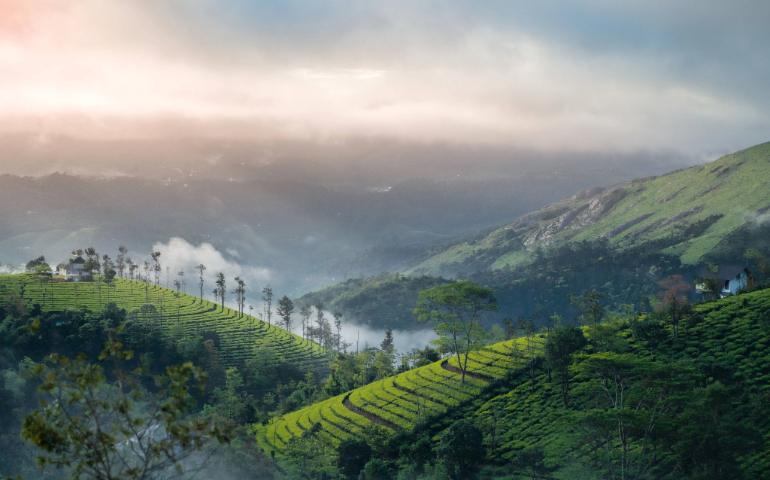 A breathtaking sunrise over the misty tea plantations of Munnar, Kerala, India.
Image Credit - Nandhu Kumar/Pexels
