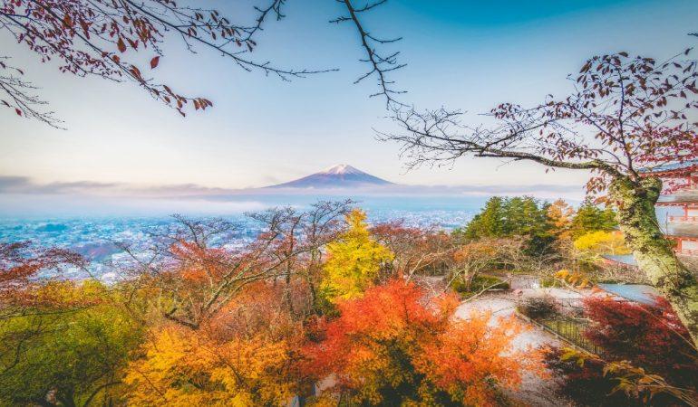 Vibrant autumn foliage frames Mount Fuji, Japan's iconic natural landmark.
Image Credit: Nguyen Khac Tien/Pexels