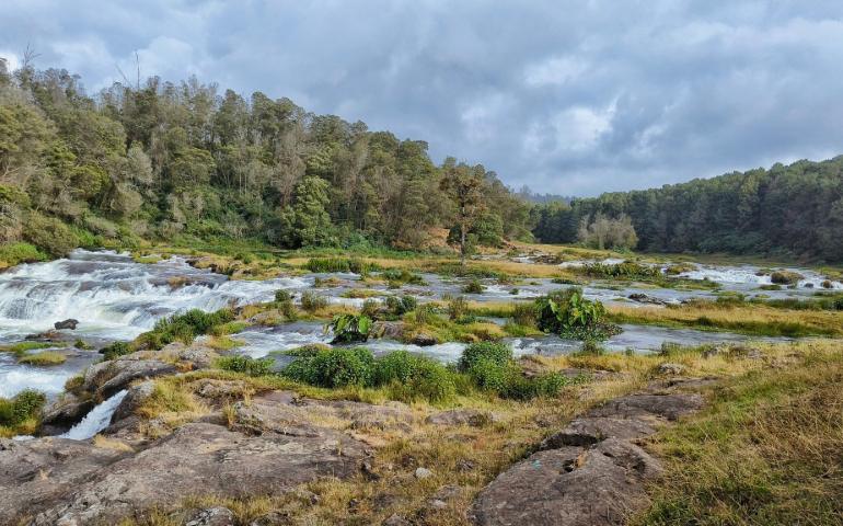 Captivating view of picturesque waterfalls amidst lush vegetation in Ooty, India.
Image Credit: Nikky Vaidya/Pexels