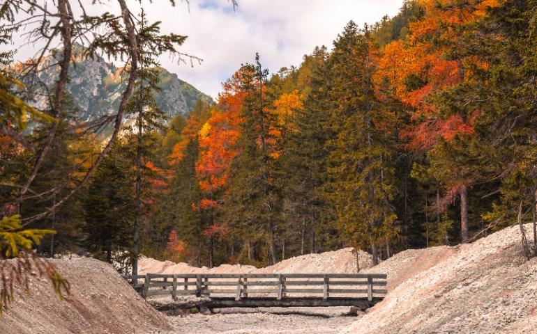 Autumn foliage and a rustic bridge in Trentino-Südtirol, Italy
Image Credit: Oskar Gross/Pexels
