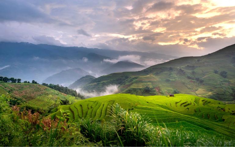 Breathtaking view of lush green terraced fields in the Vietnamese countryside enveloped in mist.
Image Credit: Quang Nguyen Vinh/Pexels