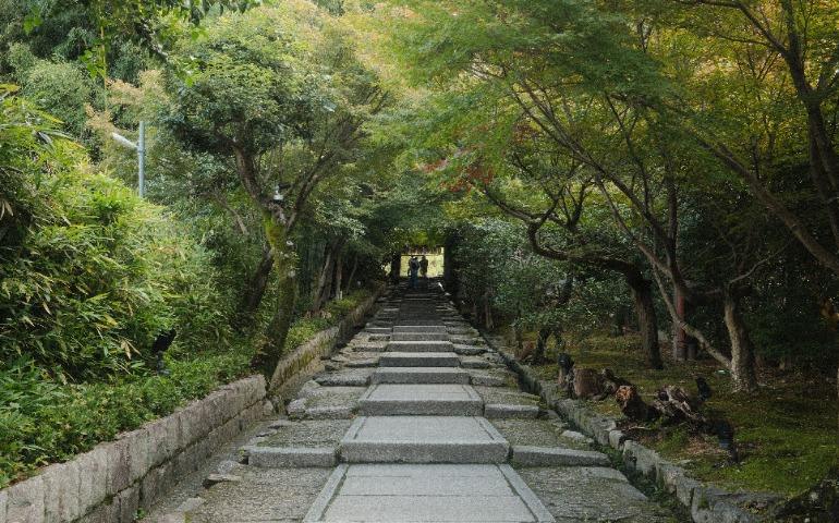 Stone pathway surrounded by lush green trees in Kyoto, Japan
Image Credit: Nizar F/Pexels