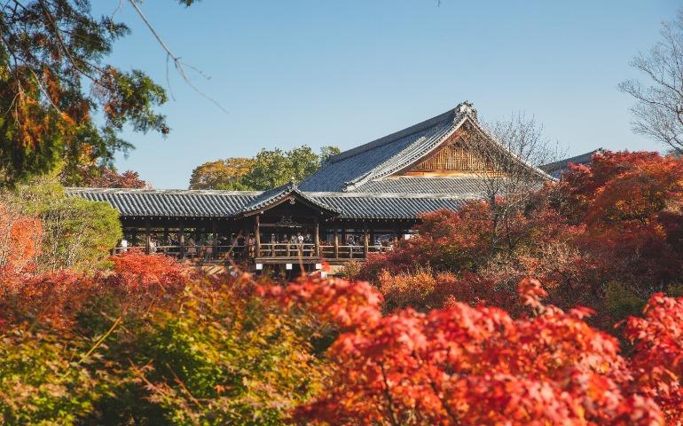 Beautiful autumn foliage surrounds Tofukuji Temple in Kyoto, Japan
Image Credit: Ryutaro Tsukata/Pexels