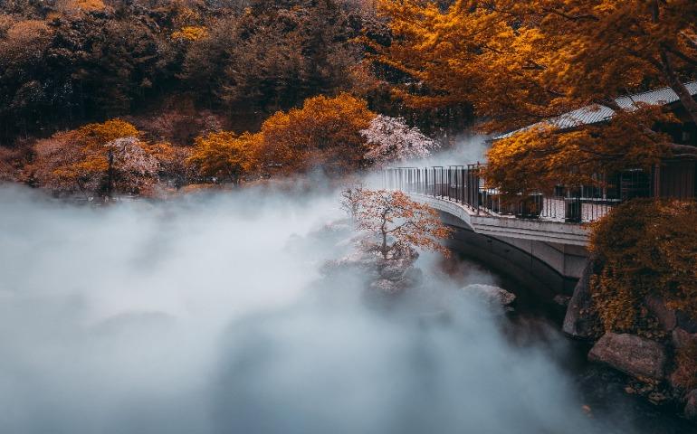 Autumn view of a foggy bridge surrounded by colorful foliage in Osaka, Japan
Image Credit: Andrea De Santis/Pexels