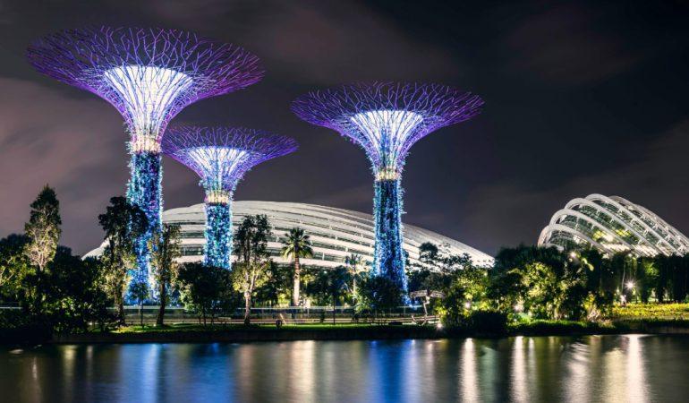 Singapore In November: Discover The City Beyond The Sights.
Image Credit: Utpal Sarkar/Pexels