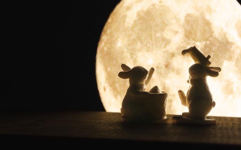 The moon and the rabbit. Moon viewing or Mid-Autumn Harvest Moon.