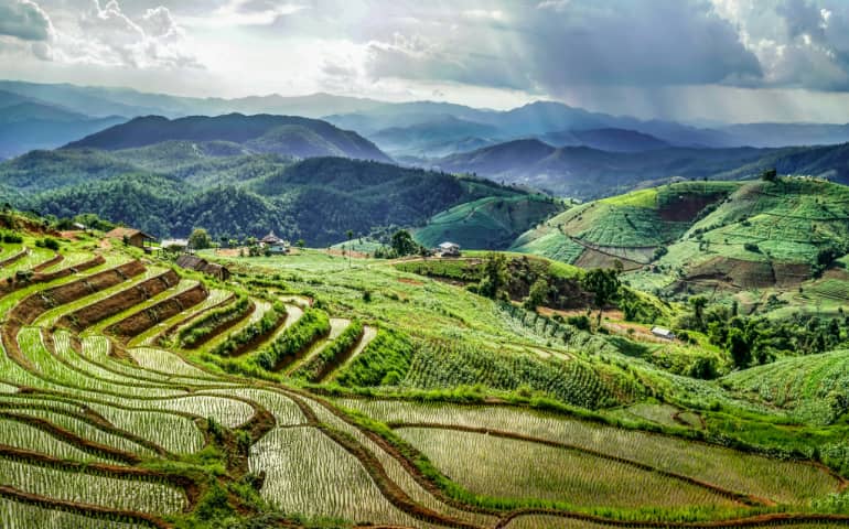The rice fields in the Papongpeang area of the Mae Chaem district near Chiang Mai, Thailand.
