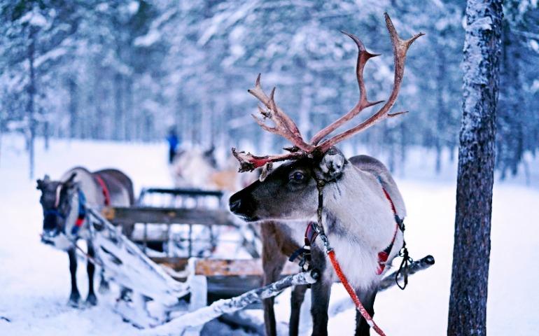 Ivalo, Inari, Finland
Image Credit: Norman Tsui/Unsplash