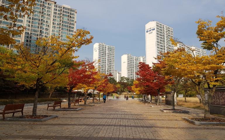 Autumn trees in Yongin-si, South Korea
Image Credit: byunghyun lee/Pexels