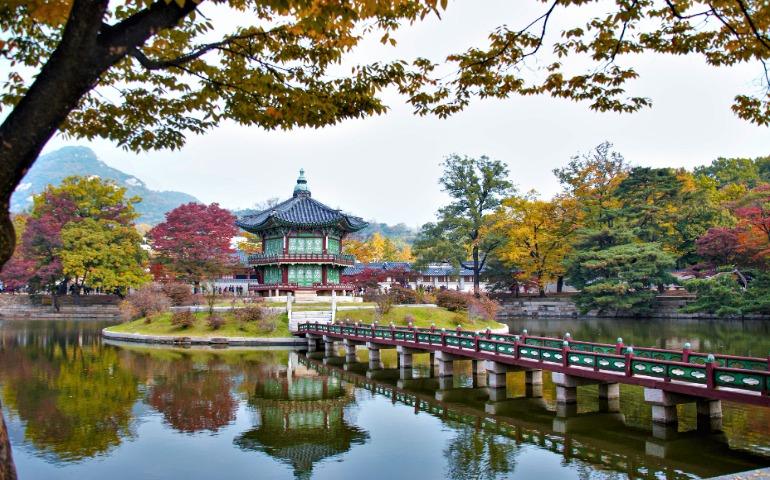 Autumn scene at Gyeongbokgung Palace
Image Credit: 대정 김/Pexels