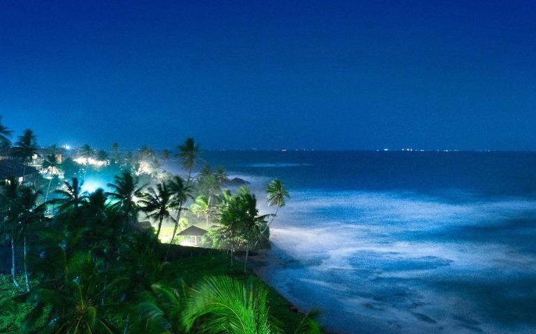 Nighttime view of a tropical beach with palm trees and ocean waves under a clear sky
Image Credit: Atlantic Ambience/Pexels
