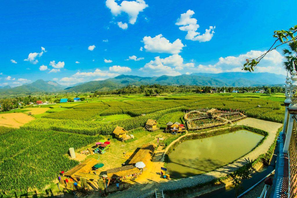 View of a vibrant rural landscape, Thailand
Image Credit: icon0 com/Pexels