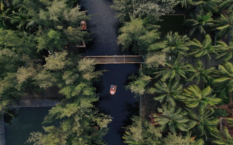 Boats and trees in Kerala, India
Image Credit: Manish Dhodi/Pexels