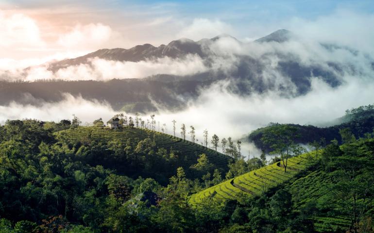 Breathtaking view of misty mountains and lush greenery in Vagamon, Kerala, India at sunrise.
Image Credit: Nandhu Kumar/Pexels