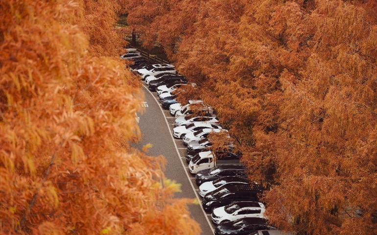 View of cars in a parking lot surrounded by vibrant autumn trees.
Image Credit: 정규송 Nui MALAMA/Pexels