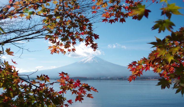 Beauty of Mount Fuji framed by vibrant autumn leaves in Fujikawaguchiko, Japan.Yuri Yuhara
Image Credit: Yuri Yuhara