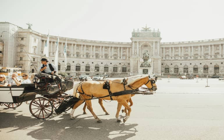 A man riding horse in Vienna