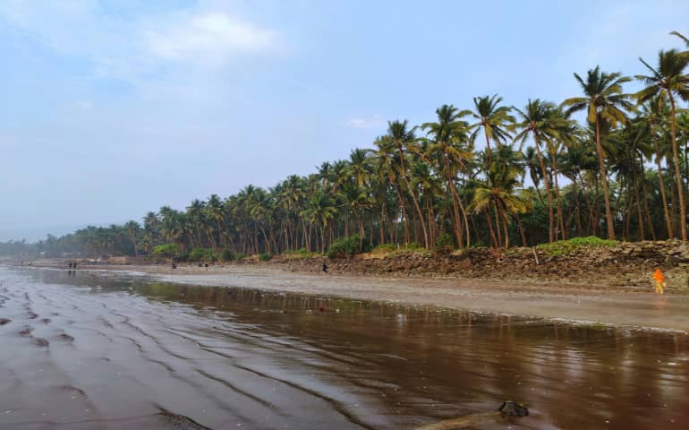 A perfect shot of a shoreline in Alibaug
