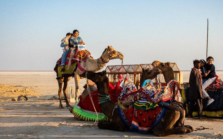 People riding camels in the Kutch desert
