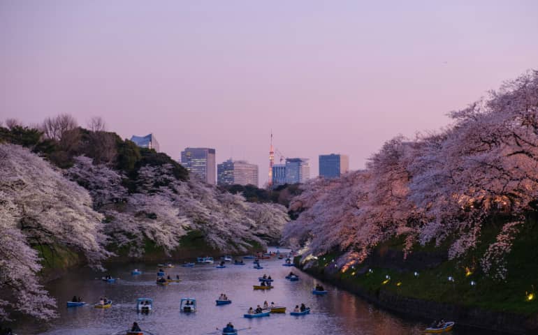 People enjoying boating in the lake in Tokyo