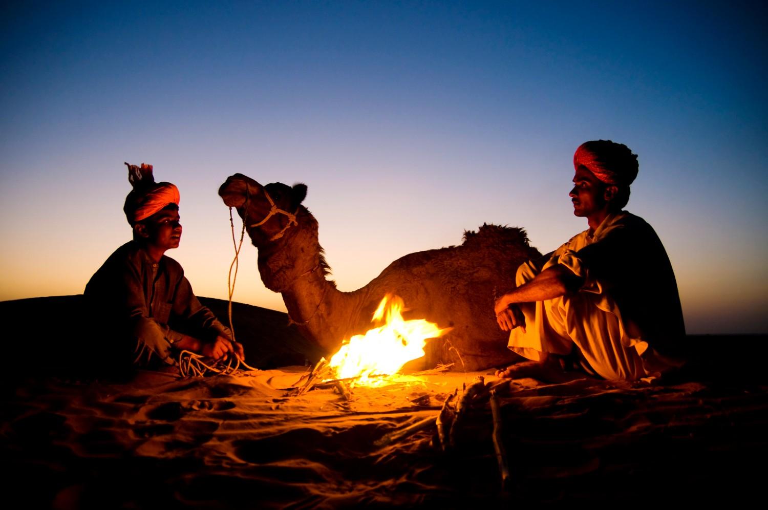 Experience the Desert After Sunset