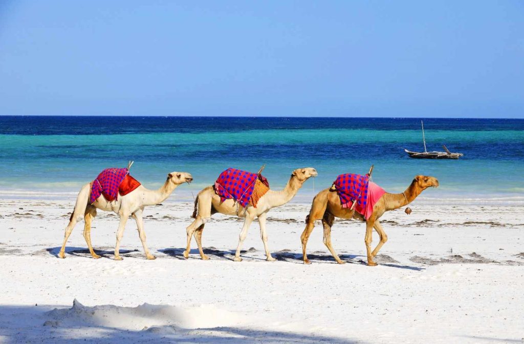 Best Overseas Holiday Spots from Saudi Arabi