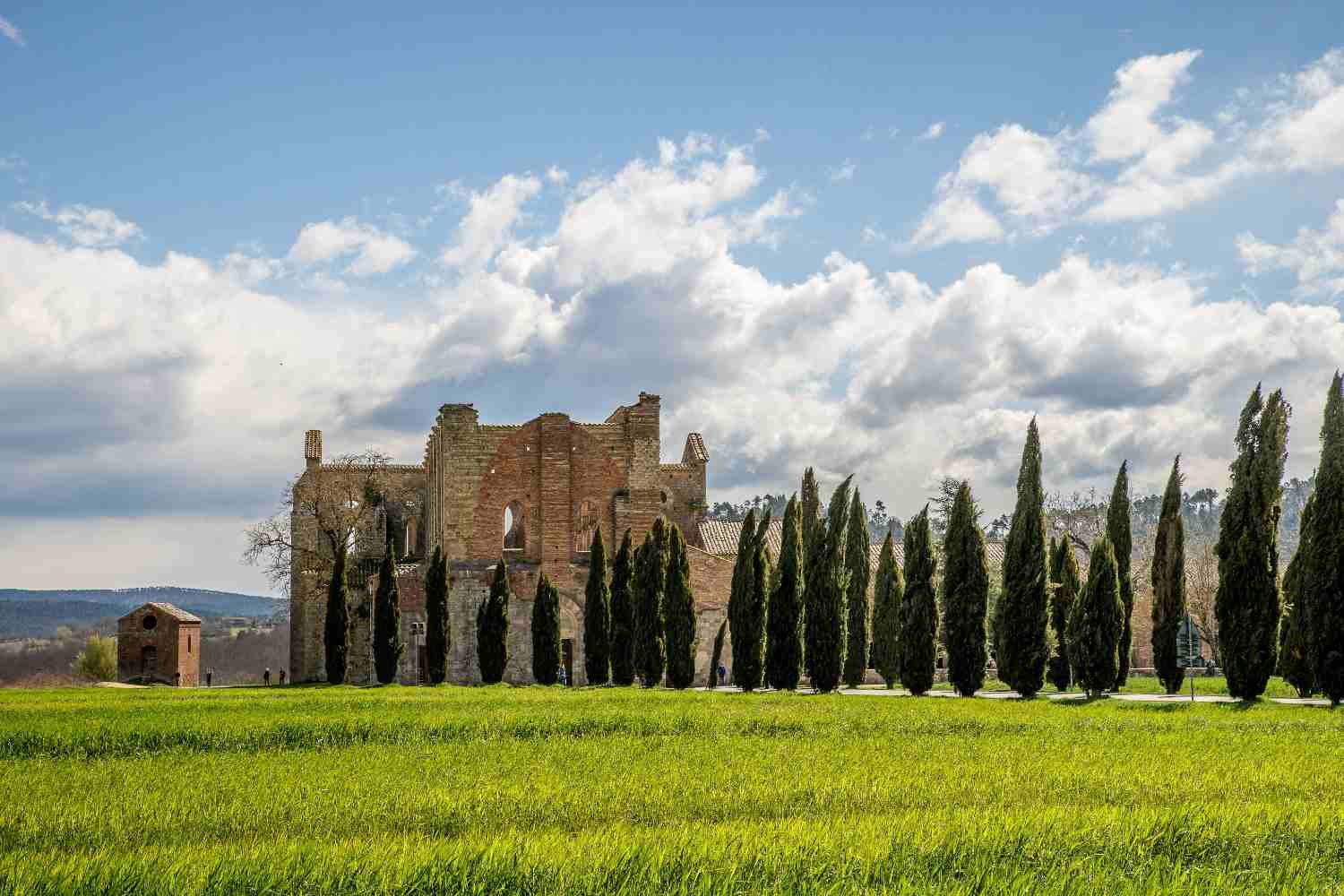 Florence: Art, Architecture and Tuscan Charm